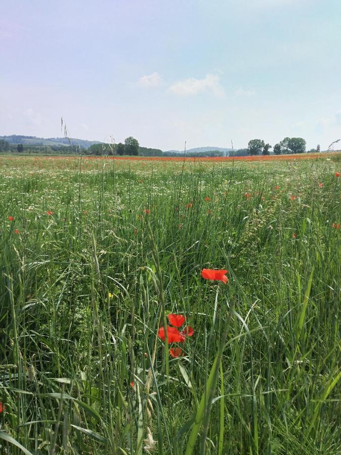 Bio Agriturismo Pratini Monte Lopio 外观 照片