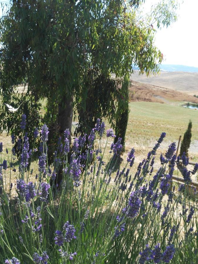 Bio Agriturismo Pratini Monte Lopio 外观 照片